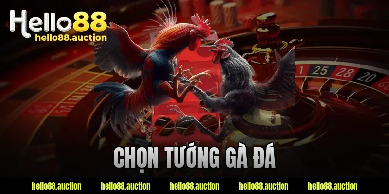 chọn tướng gà đá
